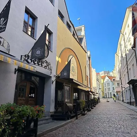 Rataskaevu Scandic Apartament