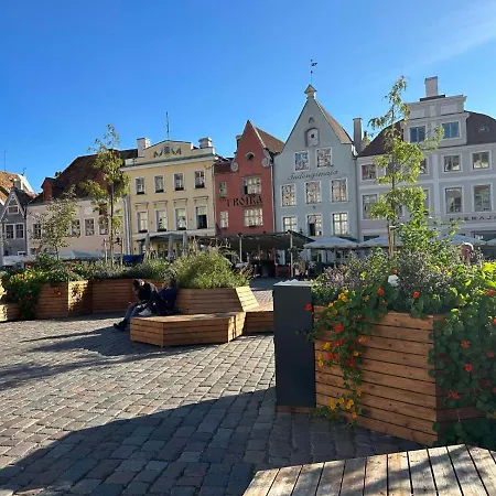 Rataskaevu Scandic Apartament *